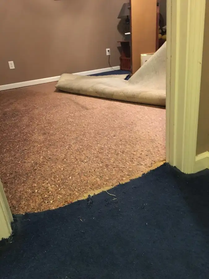 Carpet pad removal revealing water damage during Drying & Dehumidification in Rainbow City