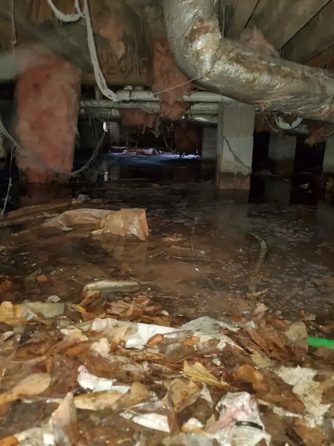 Crawl space flood assessment for Leak Detection & Repair in Rainbow City